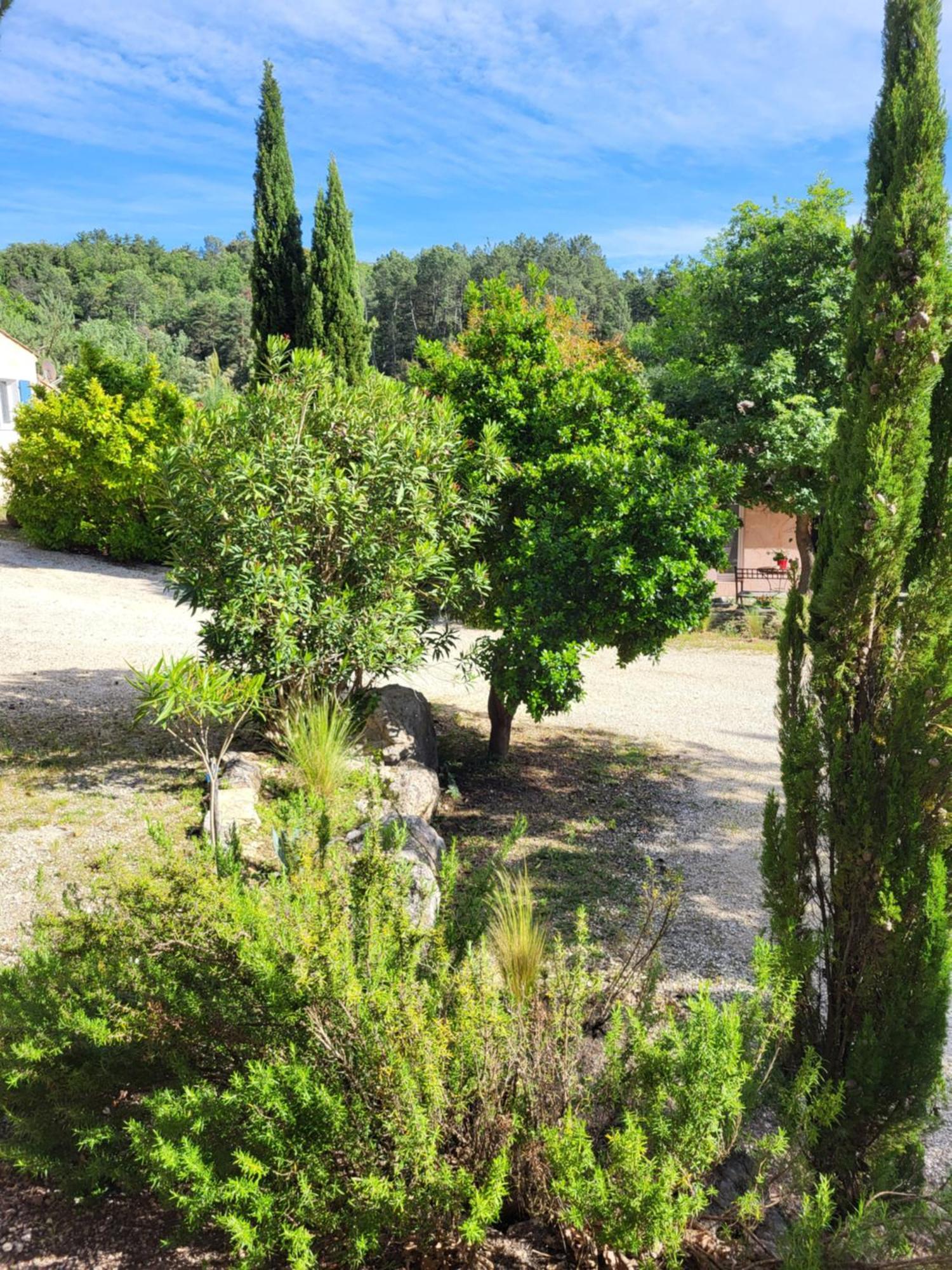 Studios Et Gite La Sauvasse Vagnas Номер фото